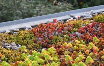 the cost of Shorton green roof installation