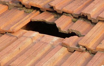 roof repair Shorton, Devon